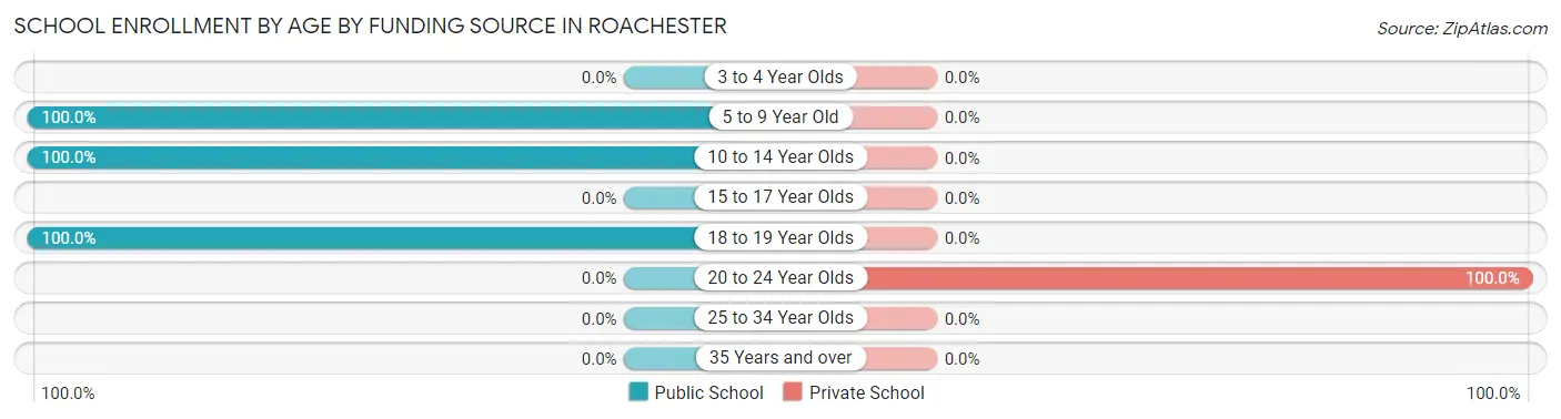 School Enrollment by Age by Funding Source in Roachester