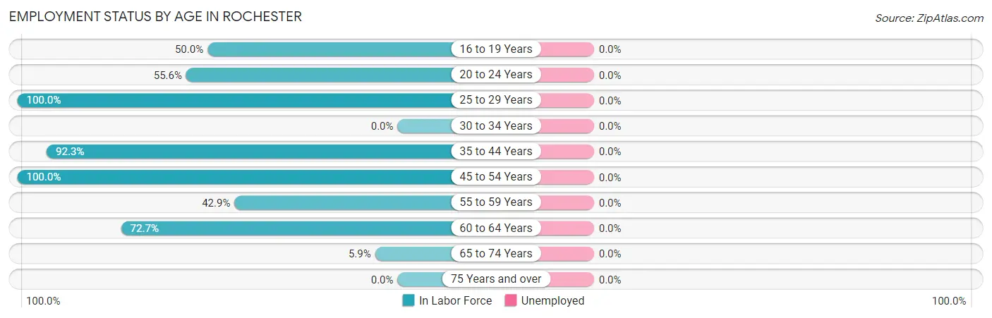 Employment Status by Age in Rochester