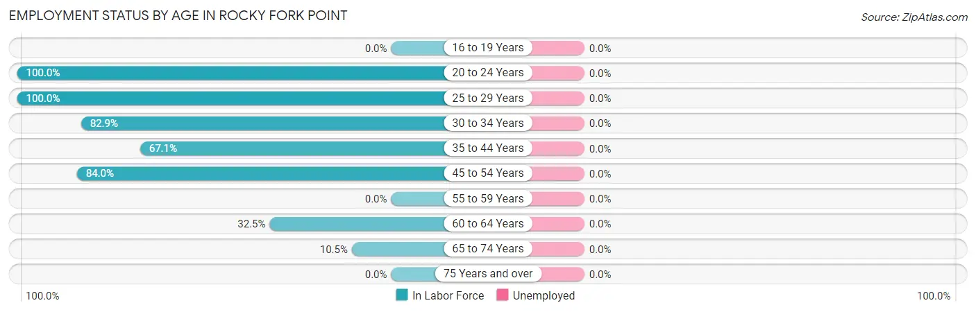 Employment Status by Age in Rocky Fork Point