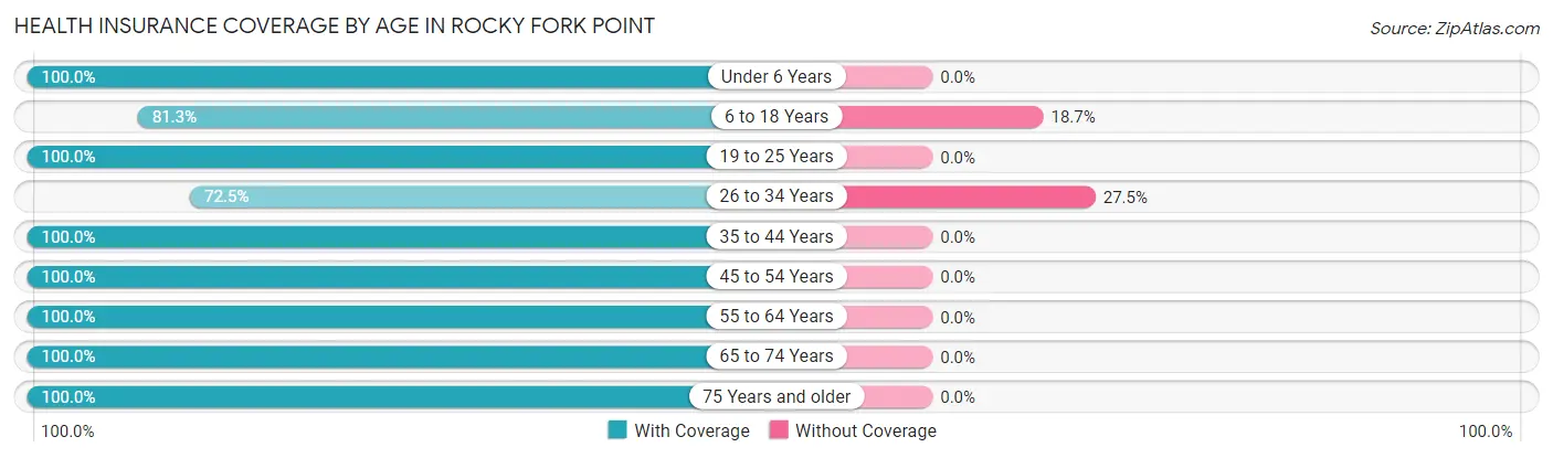 Health Insurance Coverage by Age in Rocky Fork Point