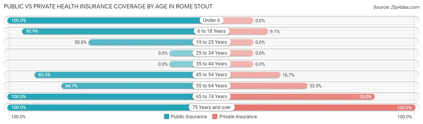 Public vs Private Health Insurance Coverage by Age in Rome Stout