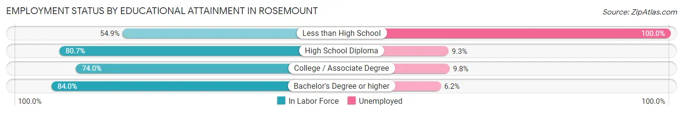 Employment Status by Educational Attainment in Rosemount