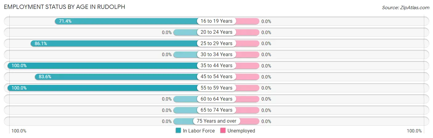 Employment Status by Age in Rudolph