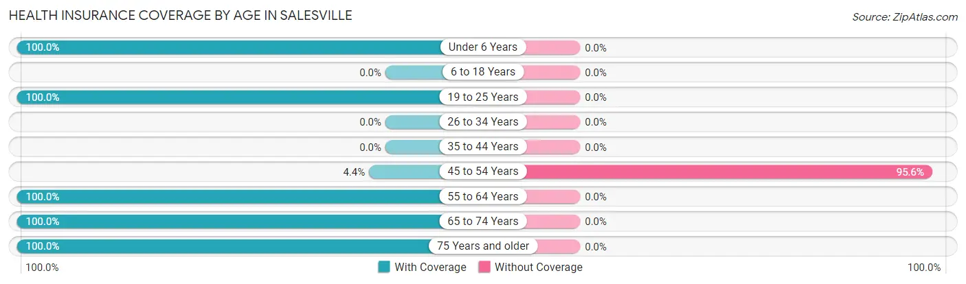 Health Insurance Coverage by Age in Salesville