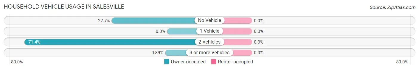 Household Vehicle Usage in Salesville
