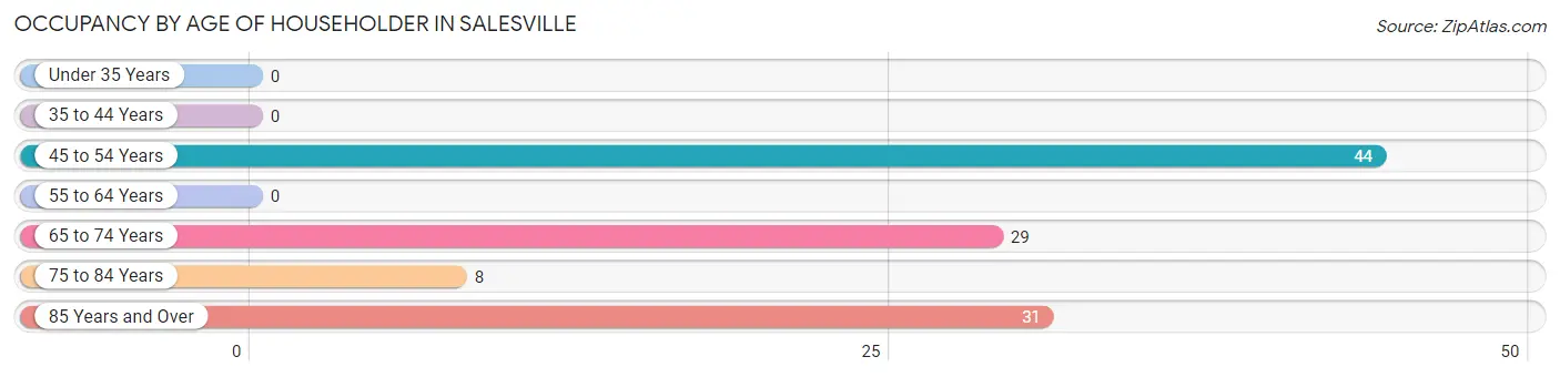 Occupancy by Age of Householder in Salesville