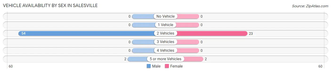 Vehicle Availability by Sex in Salesville
