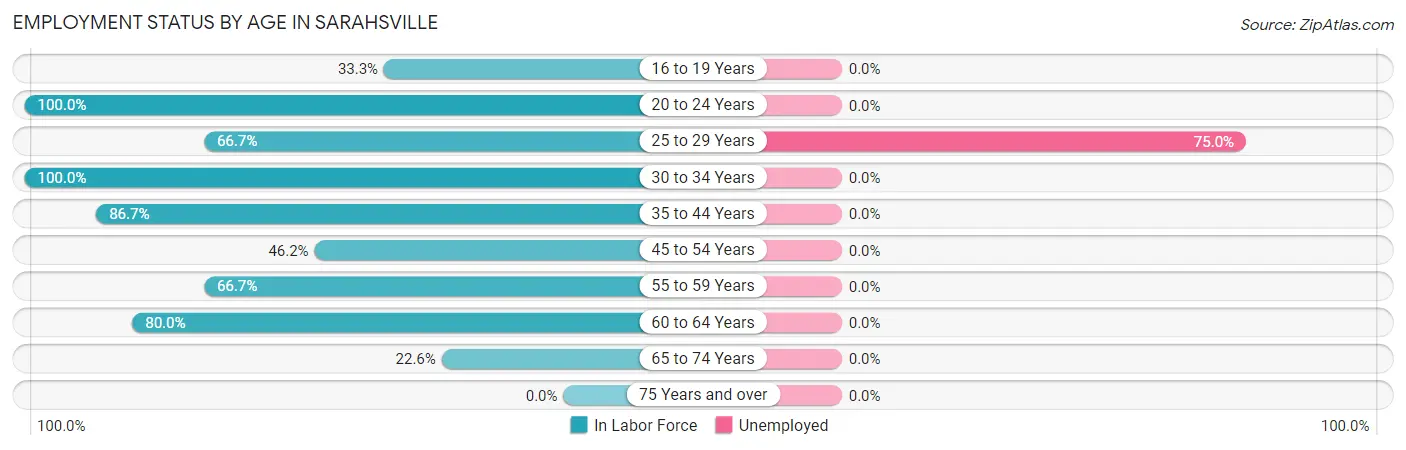 Employment Status by Age in Sarahsville