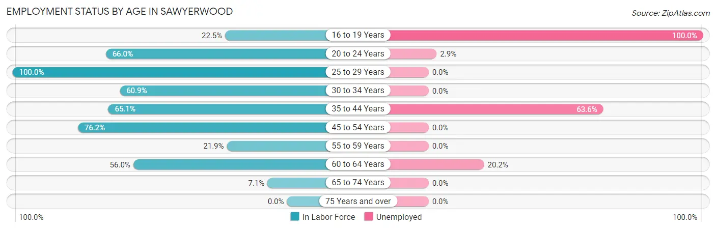 Employment Status by Age in Sawyerwood