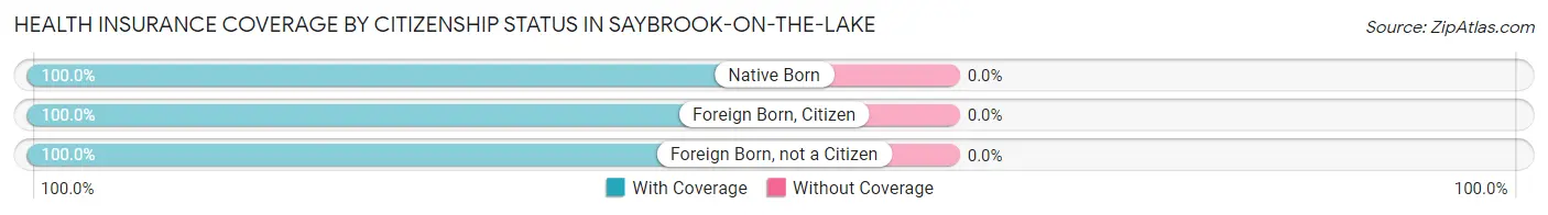Health Insurance Coverage by Citizenship Status in Saybrook-on-the-Lake