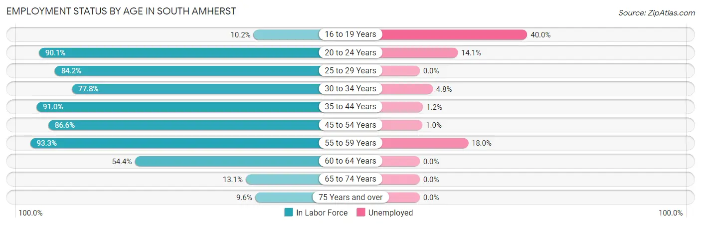 Employment Status by Age in South Amherst