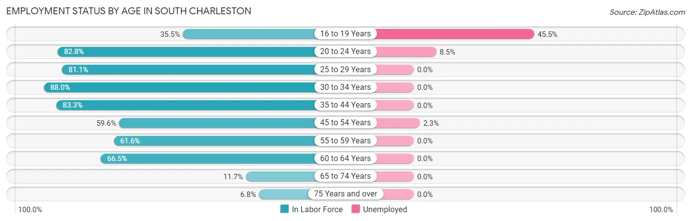 Employment Status by Age in South Charleston