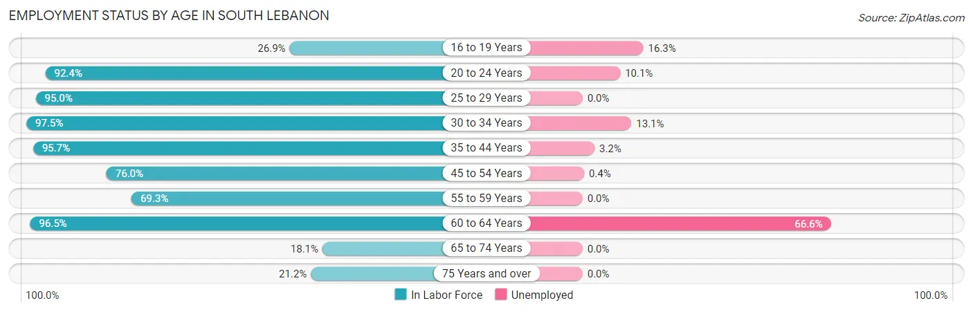 Employment Status by Age in South Lebanon