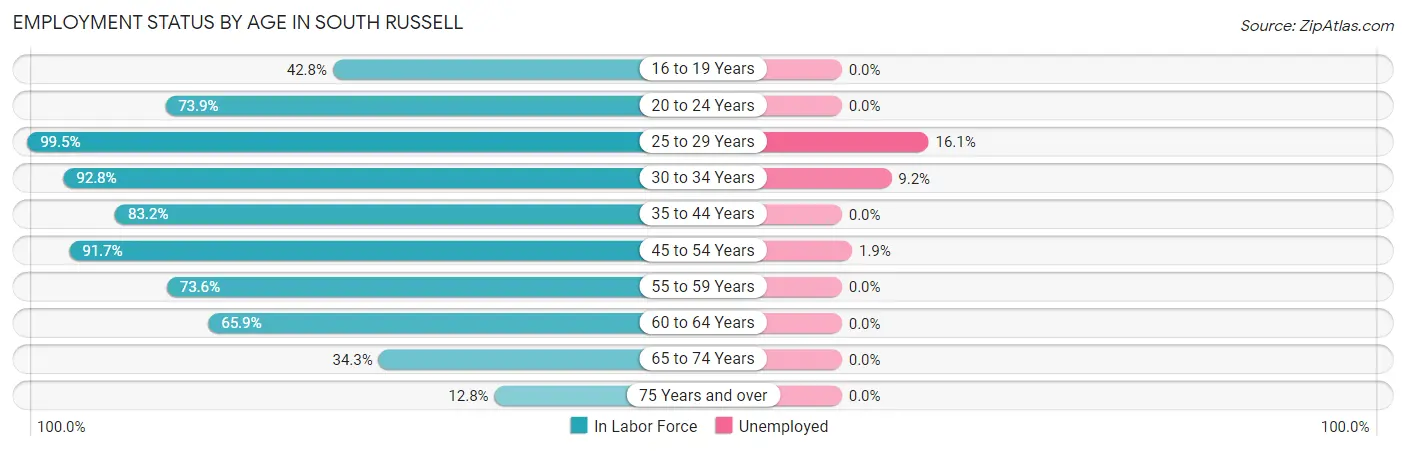 Employment Status by Age in South Russell