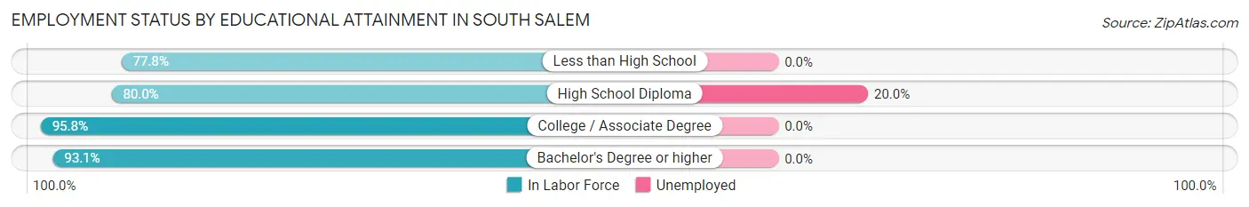 Employment Status by Educational Attainment in South Salem