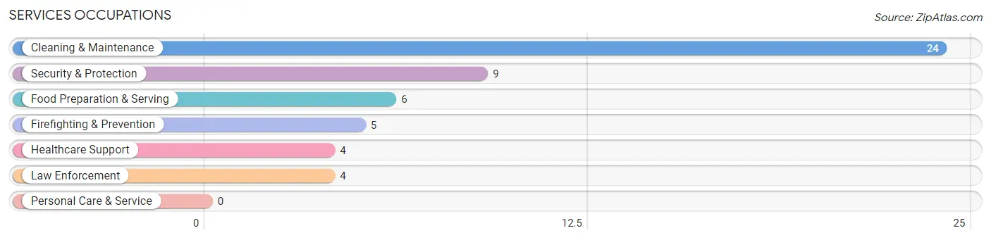 Services Occupations in South Solon