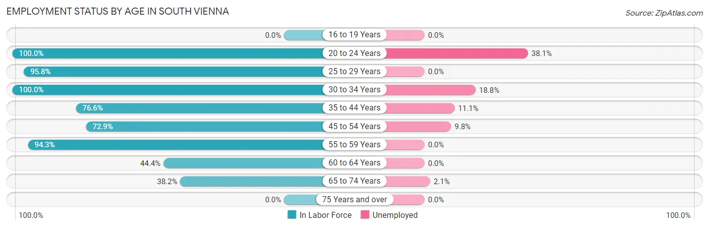 Employment Status by Age in South Vienna