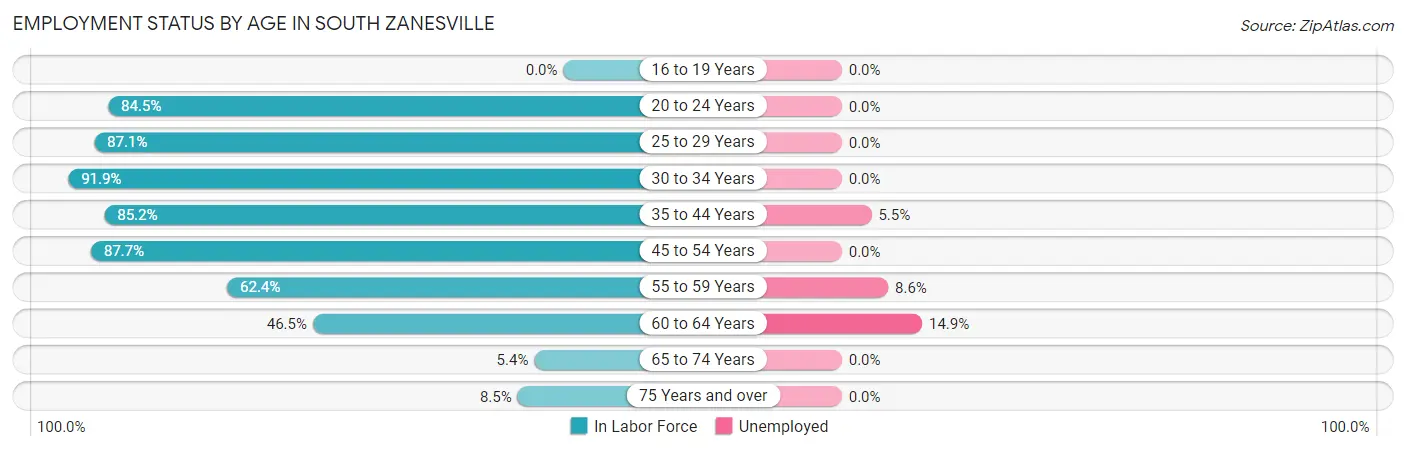 Employment Status by Age in South Zanesville
