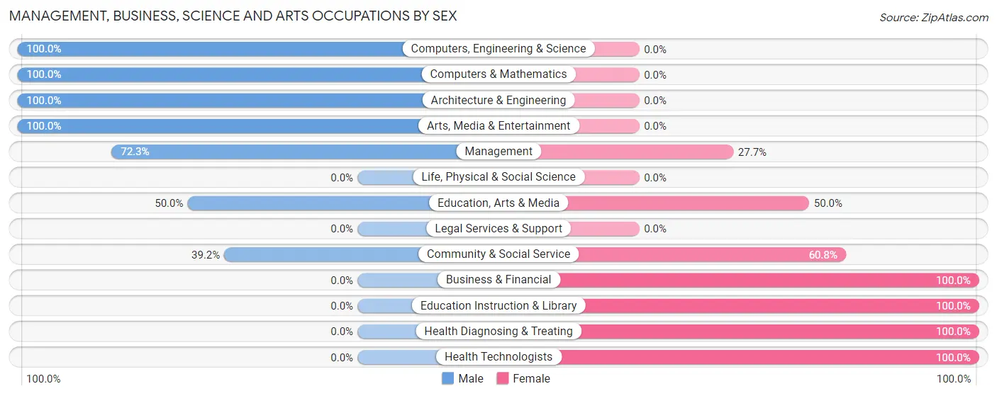 Management, Business, Science and Arts Occupations by Sex in South Zanesville
