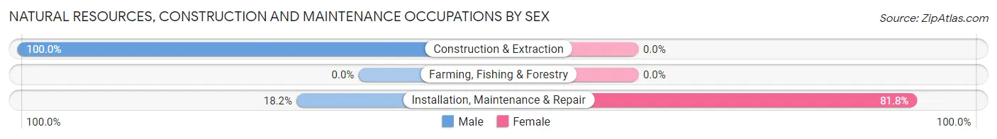 Natural Resources, Construction and Maintenance Occupations by Sex in South Zanesville