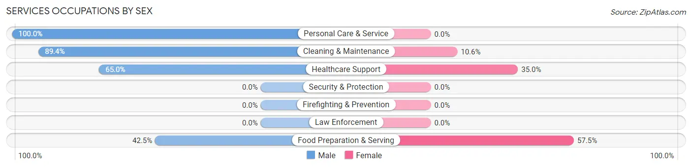 Services Occupations by Sex in South Zanesville