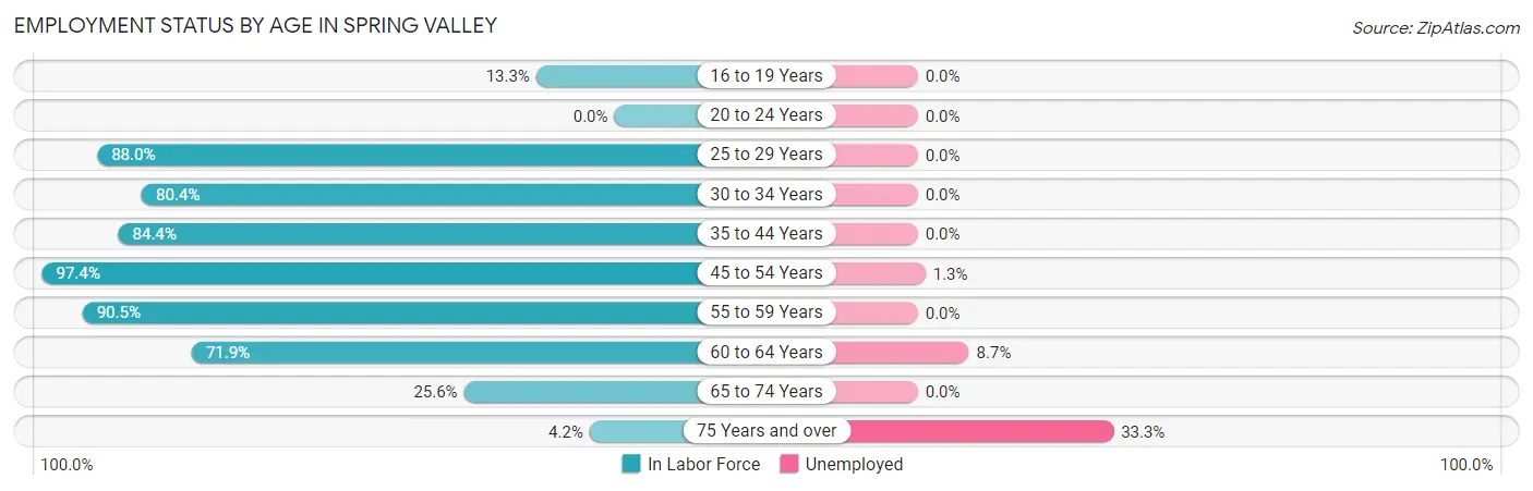 Employment Status by Age in Spring Valley