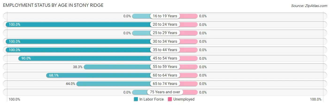 Employment Status by Age in Stony Ridge