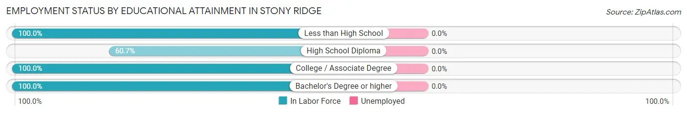 Employment Status by Educational Attainment in Stony Ridge