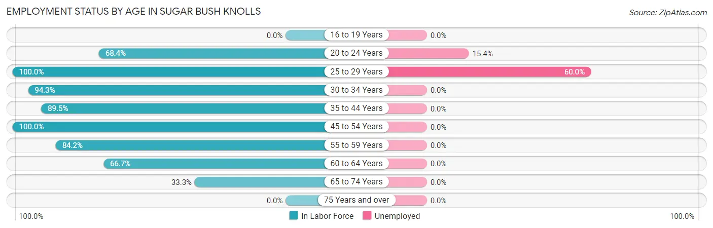Employment Status by Age in Sugar Bush Knolls