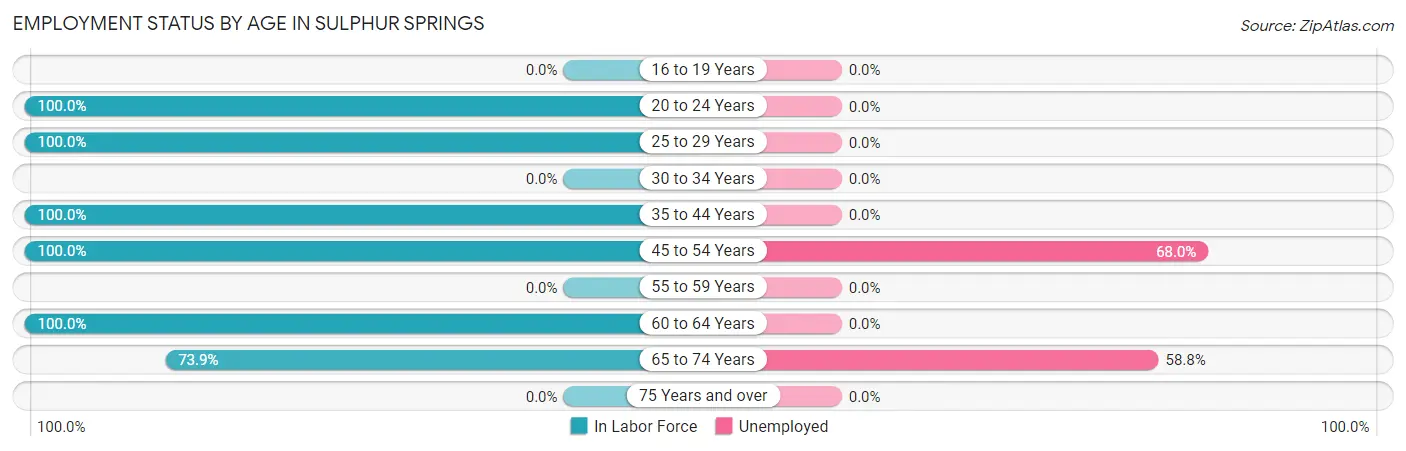 Employment Status by Age in Sulphur Springs