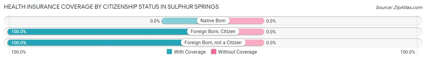 Health Insurance Coverage by Citizenship Status in Sulphur Springs