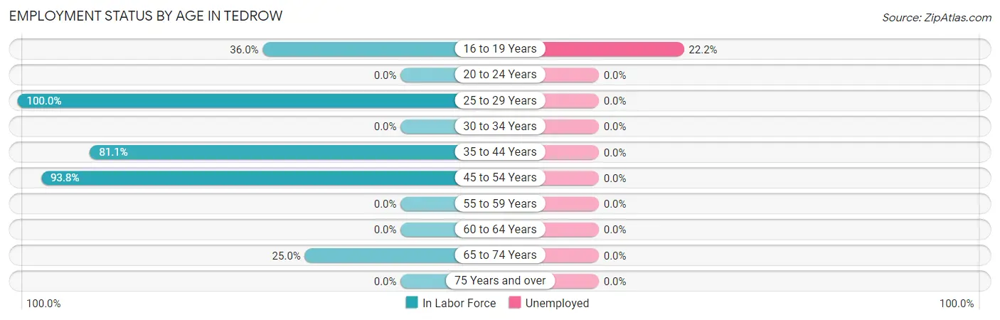 Employment Status by Age in Tedrow