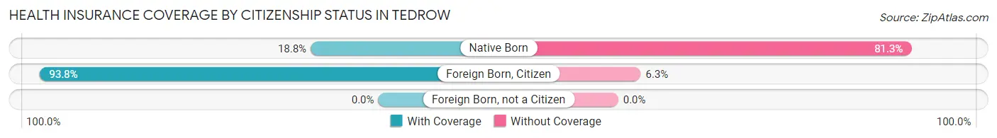 Health Insurance Coverage by Citizenship Status in Tedrow