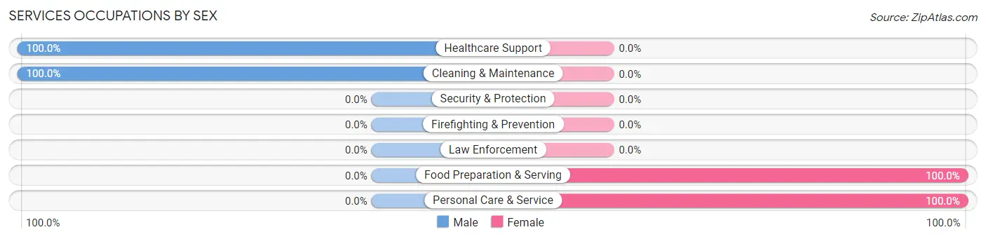 Services Occupations by Sex in The Plains