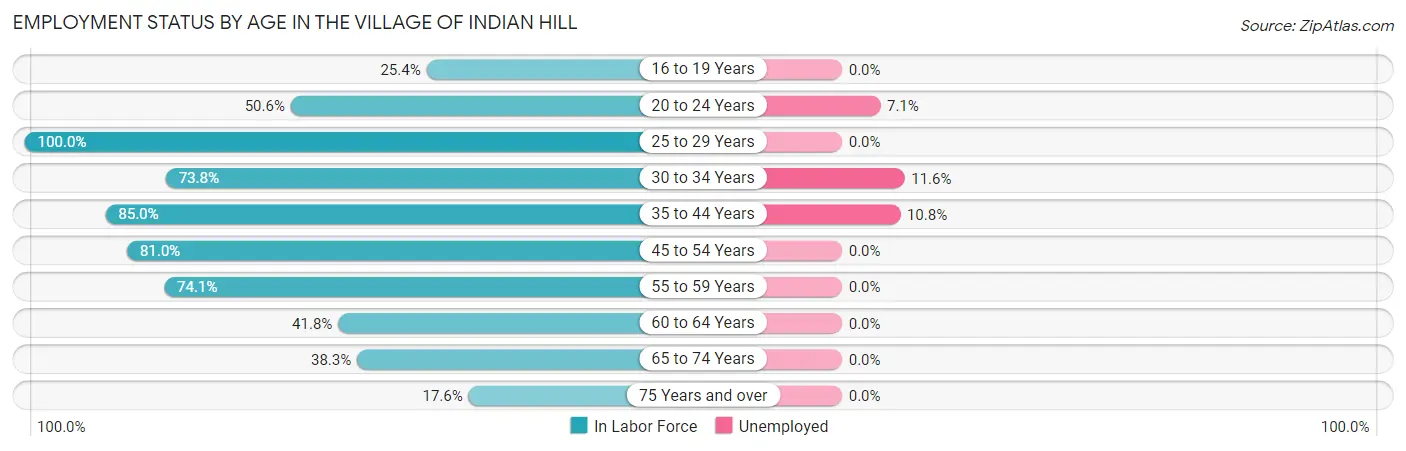 Employment Status by Age in The Village of Indian Hill