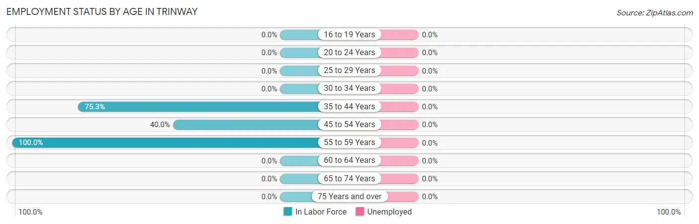Employment Status by Age in Trinway