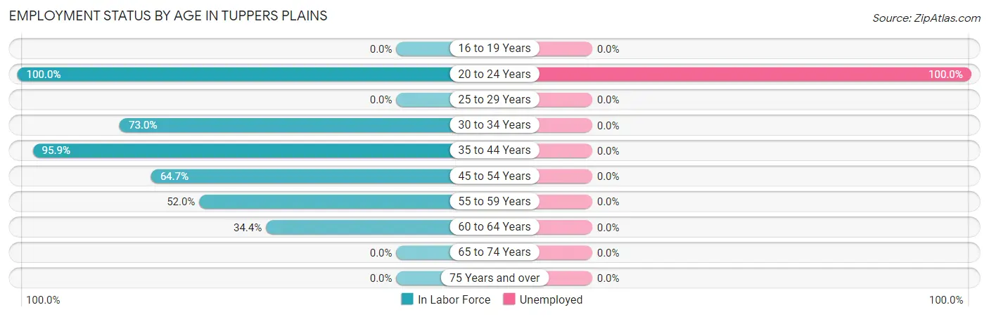 Employment Status by Age in Tuppers Plains