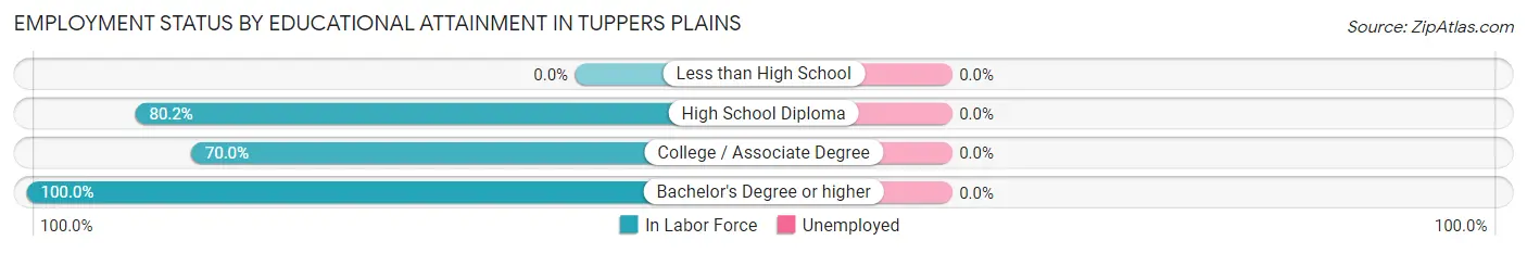 Employment Status by Educational Attainment in Tuppers Plains