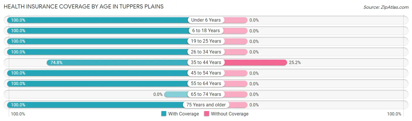 Health Insurance Coverage by Age in Tuppers Plains