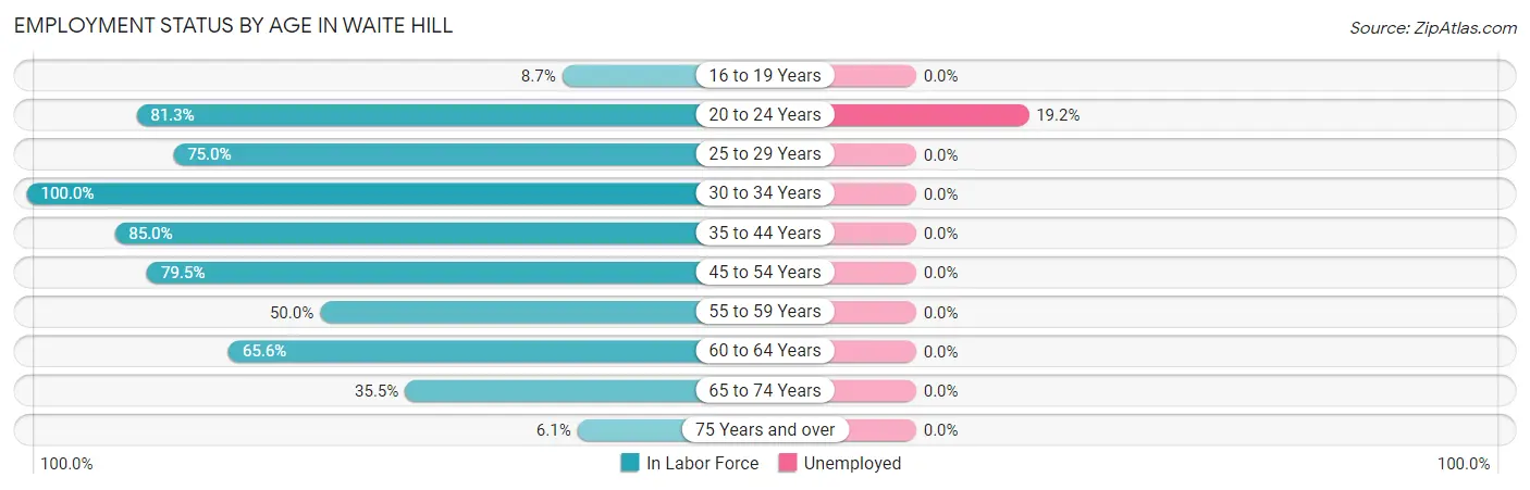 Employment Status by Age in Waite Hill