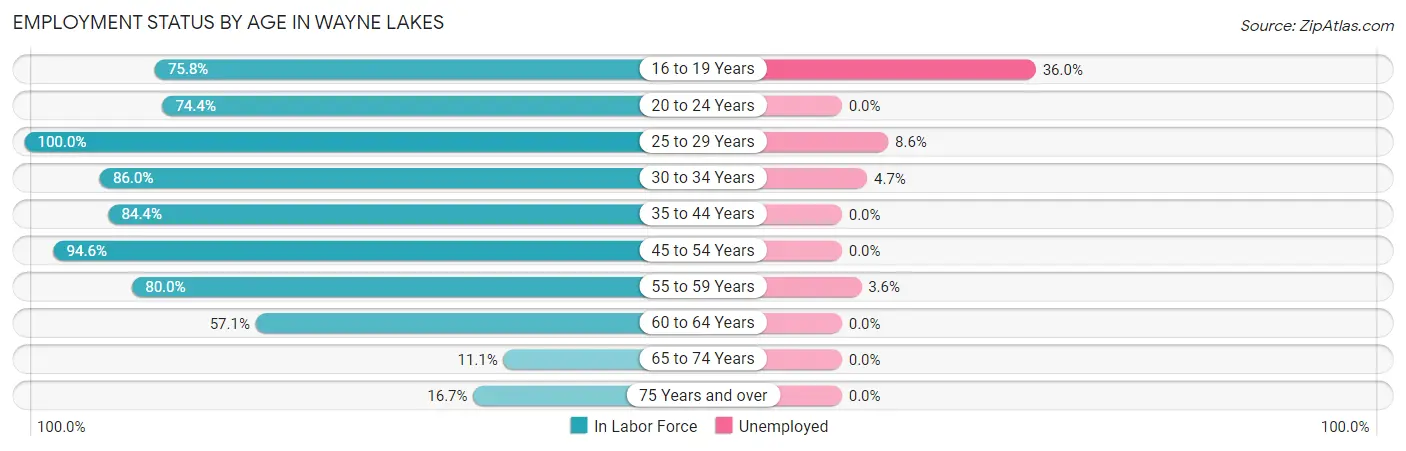 Employment Status by Age in Wayne Lakes