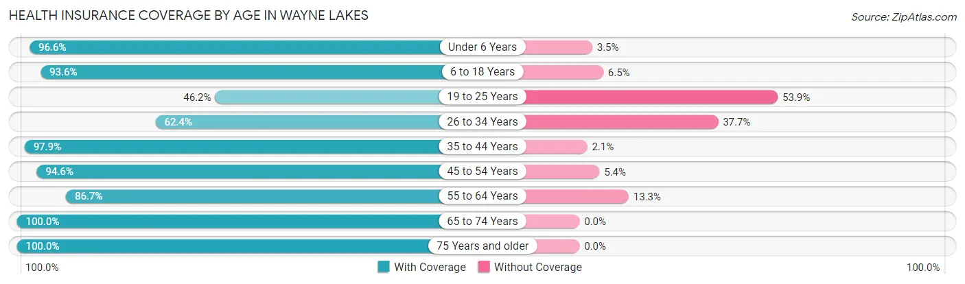 Health Insurance Coverage by Age in Wayne Lakes