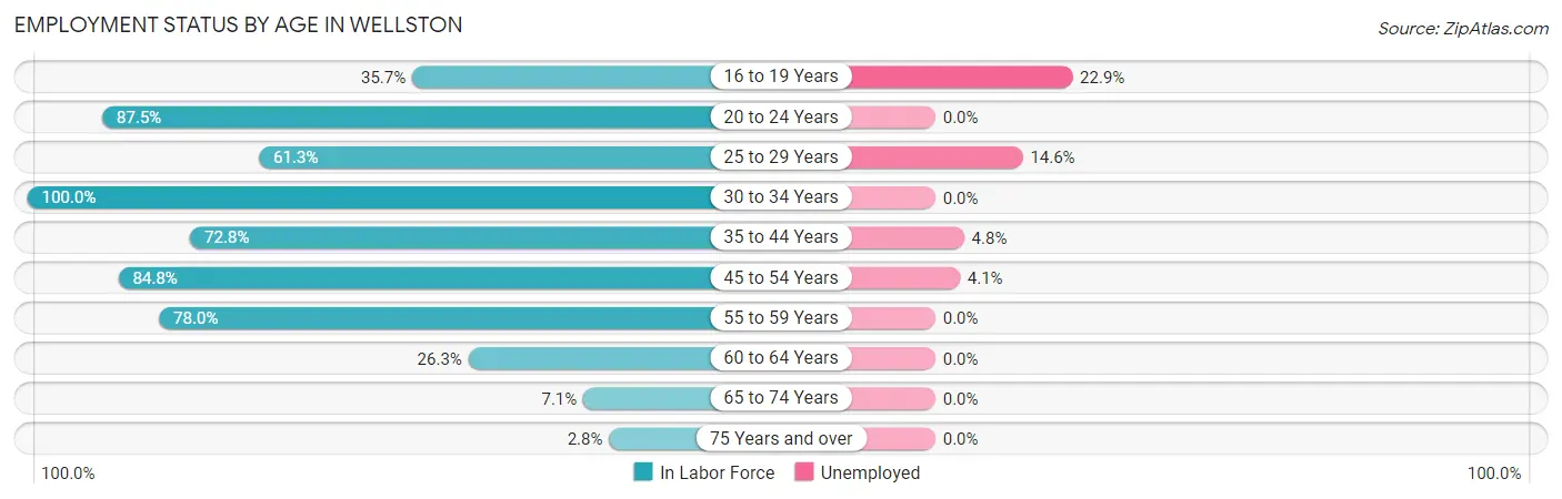 Employment Status by Age in Wellston