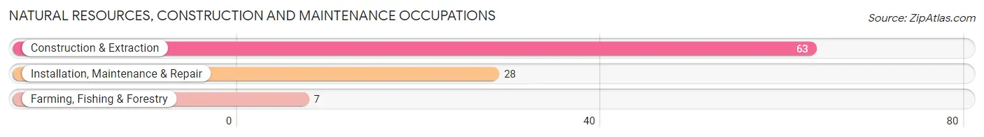 Natural Resources, Construction and Maintenance Occupations in West Farmington