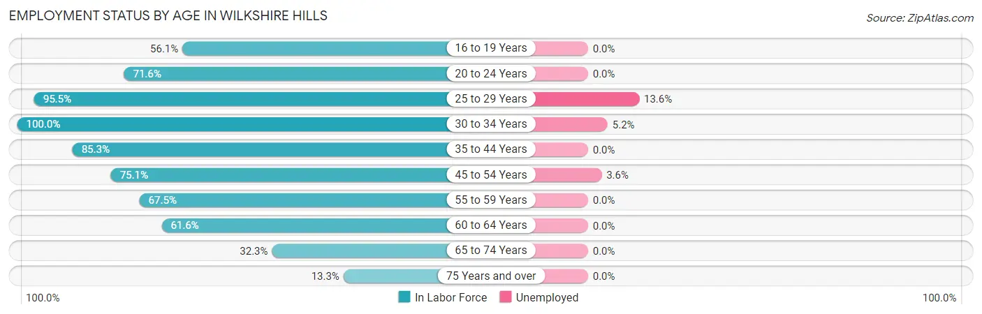 Employment Status by Age in Wilkshire Hills