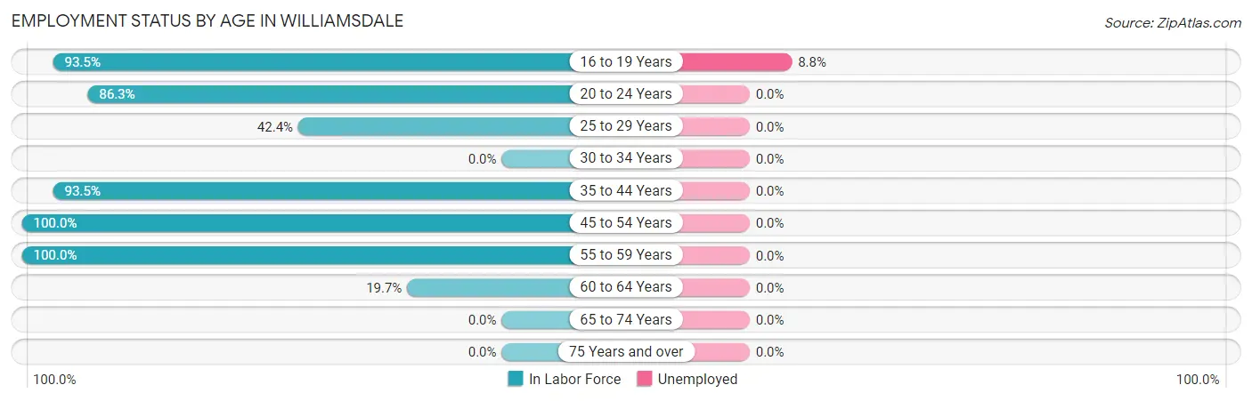 Employment Status by Age in Williamsdale