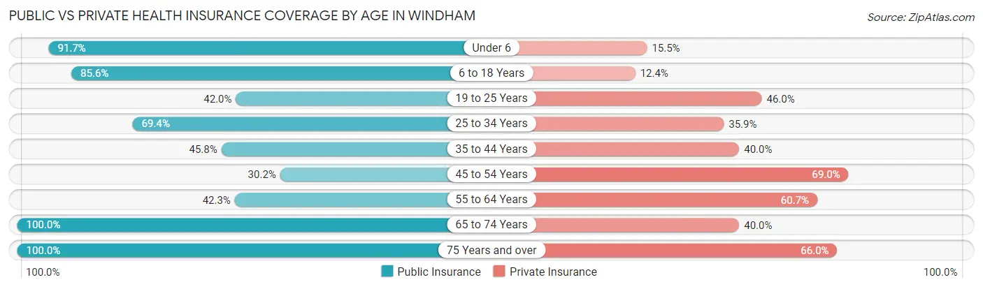 Public vs Private Health Insurance Coverage by Age in Windham