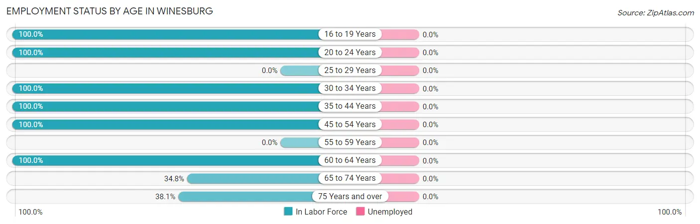 Employment Status by Age in Winesburg