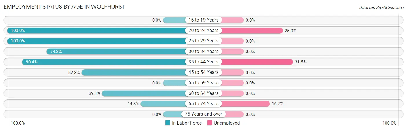Employment Status by Age in Wolfhurst