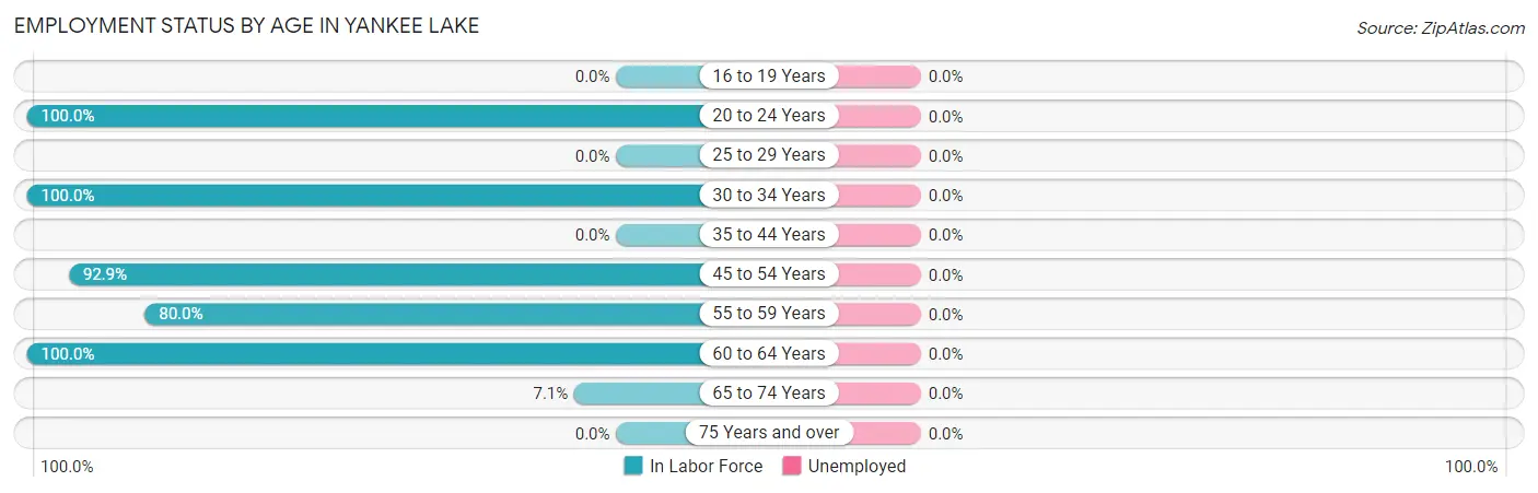 Employment Status by Age in Yankee Lake